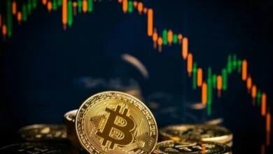 پایگاه فناوری ویندوز